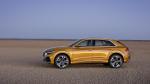 Audi Q8 50 TDI Quattro S-Line 2018 года (WW)